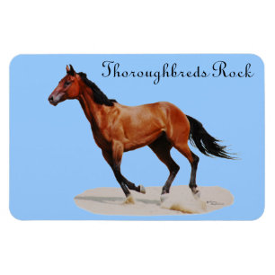 Thoroughbreds Rock Premium Magnet