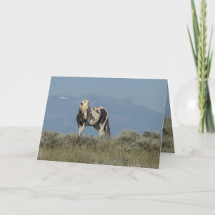Thor's Challenge Wild Horse Greeting Card