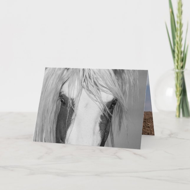 Thor's Eyes - Wild Horse Greeting Card (Front)