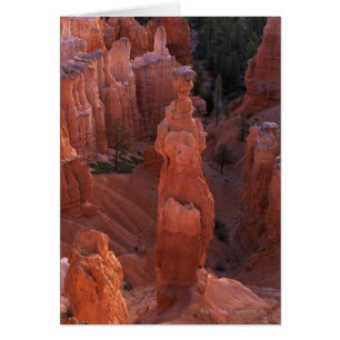 Thor's Hammer hoodoo on Navajo Trail