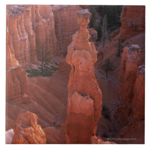 Thor's Hammer hoodoo on Navajo Trail Tile