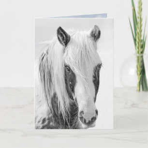 Thor's Last Portrait Greeting Card