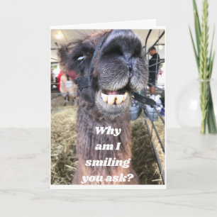 THOSE ARE SOME TEETH!! HAPPY BIRTHDAY CARD