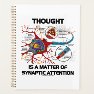 Thought Is A Matter Of Synaptic Attention Geek Planner