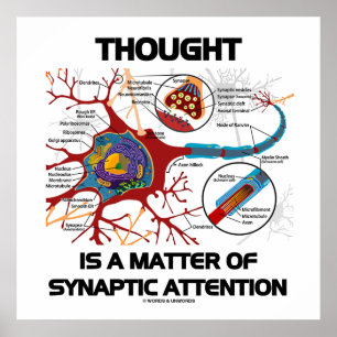 Thought Is A Matter Of Synaptic Attention (Neuron) Poster