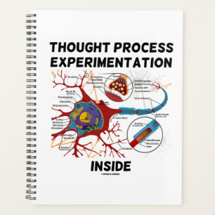 Thought Process Experimentation Inside Neuron Planner