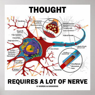 Thought Requires A Lot Of Nerve (Neuron / Synapse) Poster