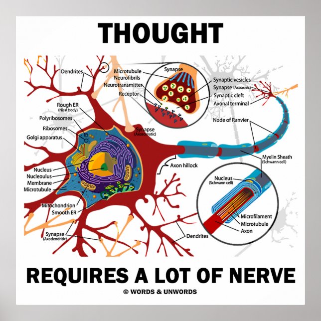 Thought Requires A Lot Of Nerve (Neuron / Synapse) Poster (Front)