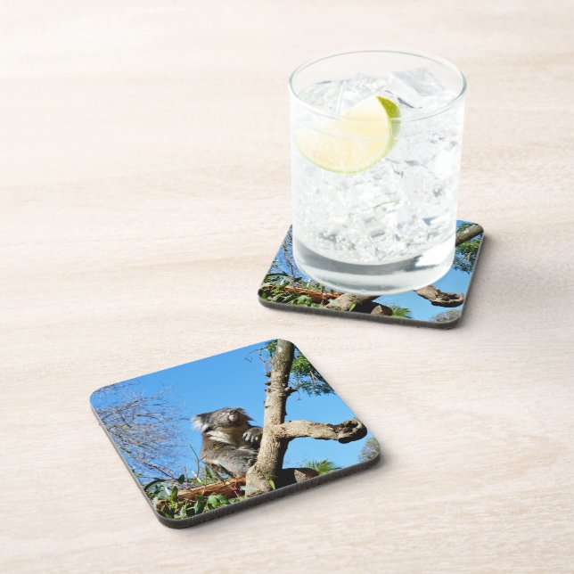 Thoughtful Australian Koala, Coaster (Right Side)