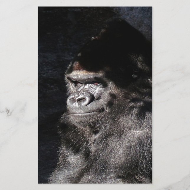 Thoughtful  Gorilla (Front)