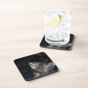 Thoughtful Gorilla Coaster