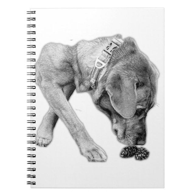 Thoughtful Pause in Black and White Notebook (Front)