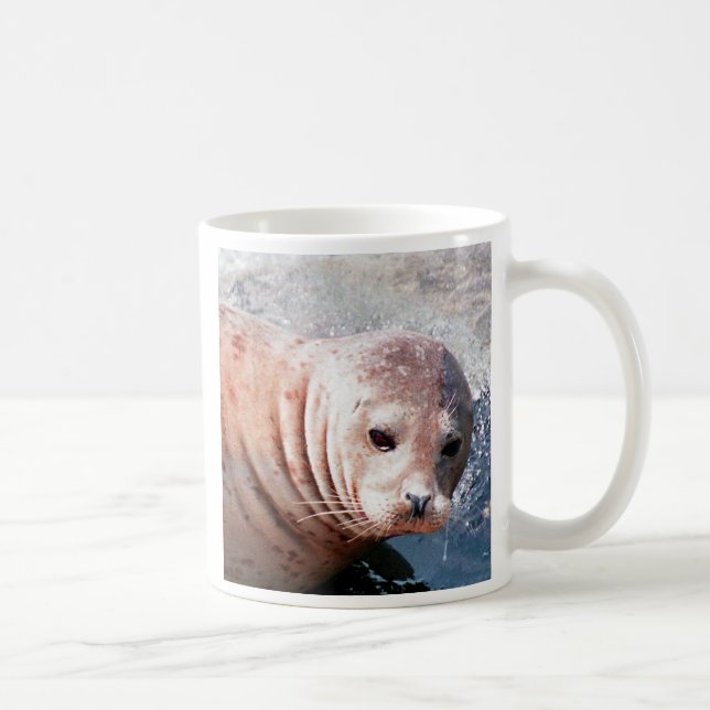 Thoughtful Seal Coffee Mug (Right)