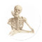 Thoughtful Skeleton