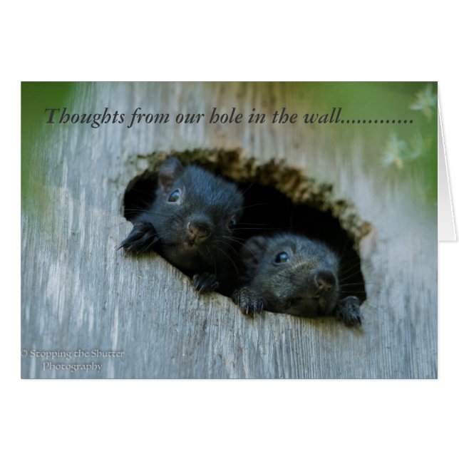 Thoughts from our Hole in the Wall...... (Front Horizontal)