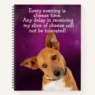Thoughts From the Dog Notebook