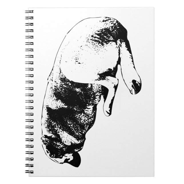 Thoughts Move Slower Notebook (Front)