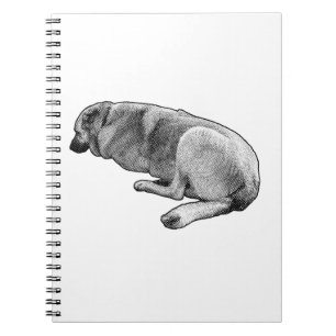 Thoughts That Stay Asleep Notebook
