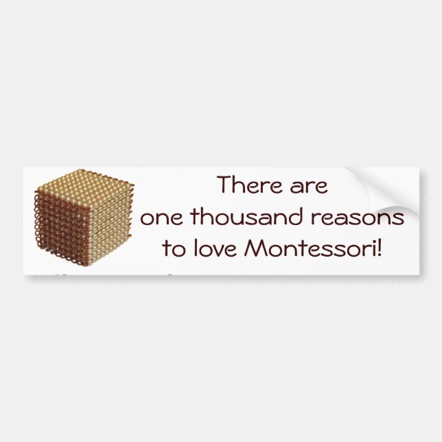 Thousand Reasons to Love Montessori Bumper Sticker (Front)
