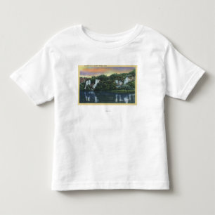 Thousand Springs, IDQuartette Falls View Toddler T-shirt