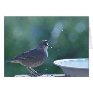 Thrasher Splasher Card