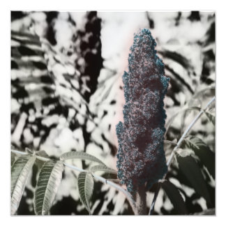 Three 16" photo print