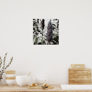 Three 16" poster