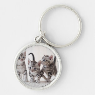 Three American Shorthair Playing Keychain