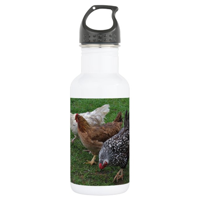Three Amigos 532 Ml Water Bottle (Front)