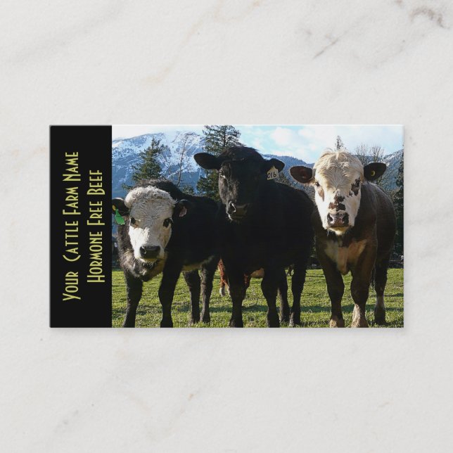 Three Amigos Beef Cattle Business Card (Front)