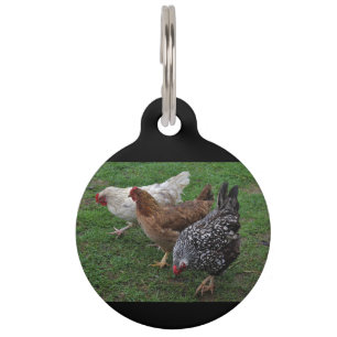 Three Amigos Pet Tag