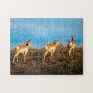 Three antelope walking away at sunset jigsaw puzzle