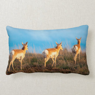 Three antelope walking away at sunset lumbar pillow