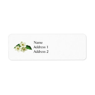 Three Apple Blossoms