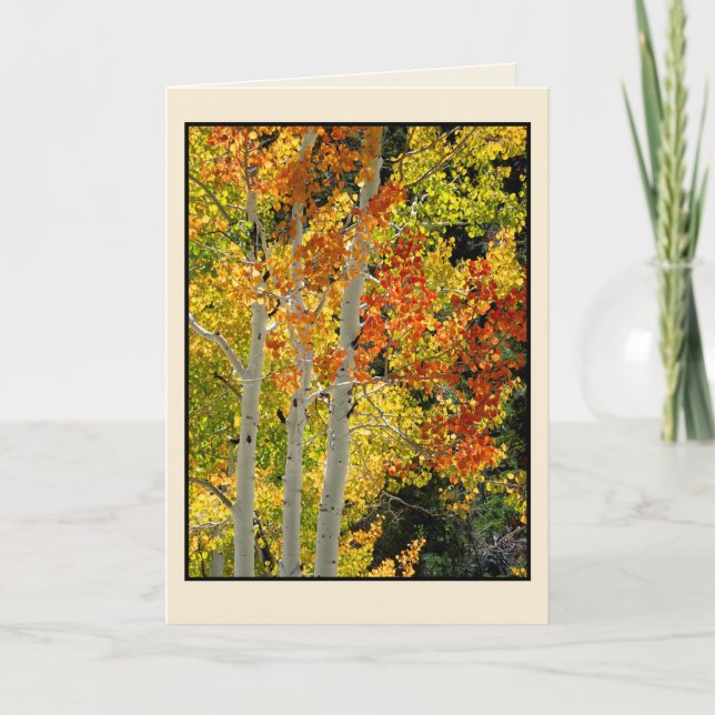 Three Aspen in Autumn, Blank Greeting Card (Front)