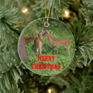 Three Baby Deer Christmas Ornament CUSTOMIZE Date