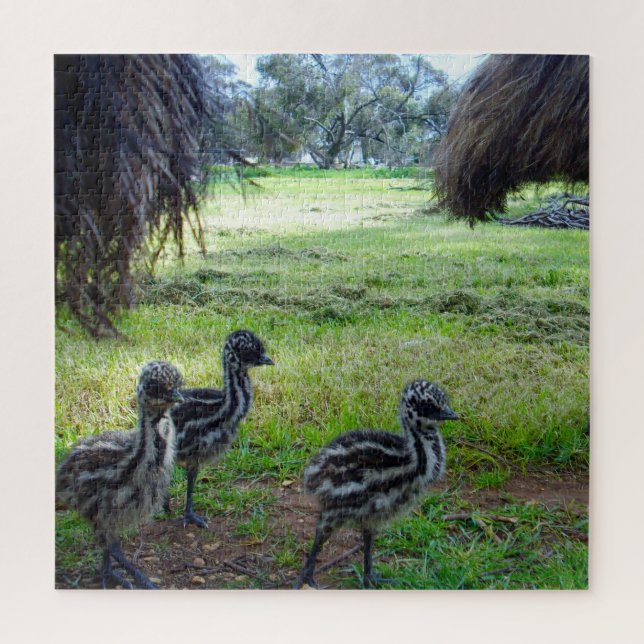 Three Baby Emu Chicks, Jigsaw Puzzle (Vertical)