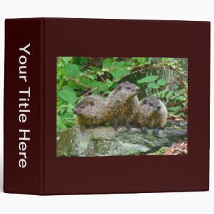 Three Baby Groundhogs Binder