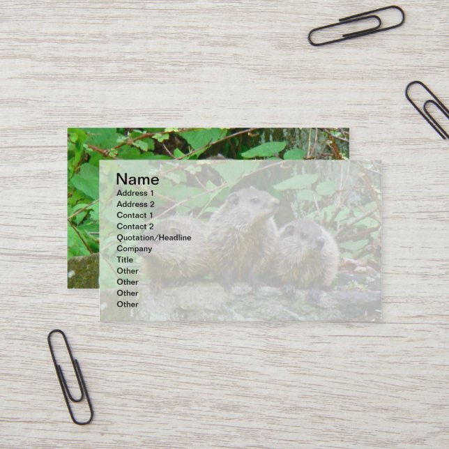 Three Baby Groundhogs Business Card (Front/Back In Situ)