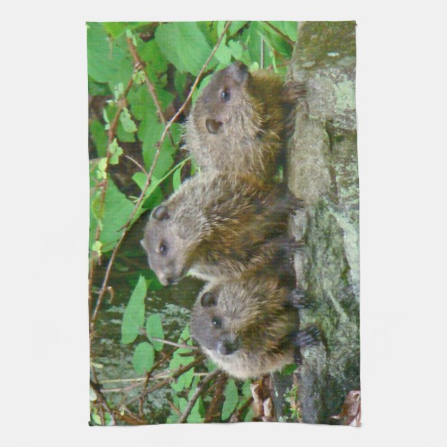 Three Baby Groundhogs Kitchen Towel (Vertical)
