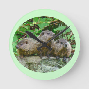 Three Baby Groundhogs Round Clock