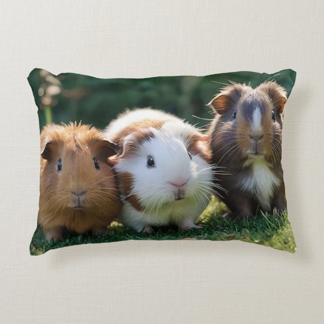 Three Baby Guinea Pigs, Accent Pillow (Front)