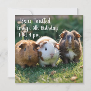 Three Baby Guinea Pigs, Invitation