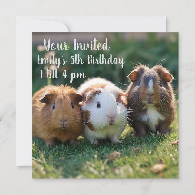 Three Baby Guinea Pigs, Invitation (Front)