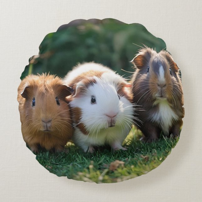 Three Baby Guinea Pigs, Round Pillow (Front)