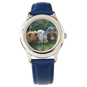 Three Baby Guinea Pigs, Watch