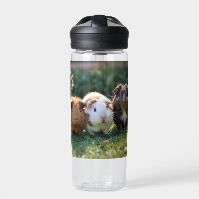 Three Baby Guinea Pigs, Water Bottle (Front)