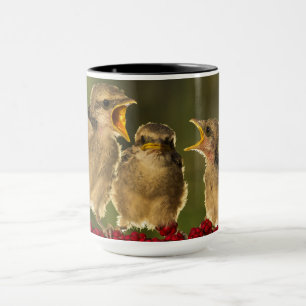 Three Baby Lanius Schach Birds Mug