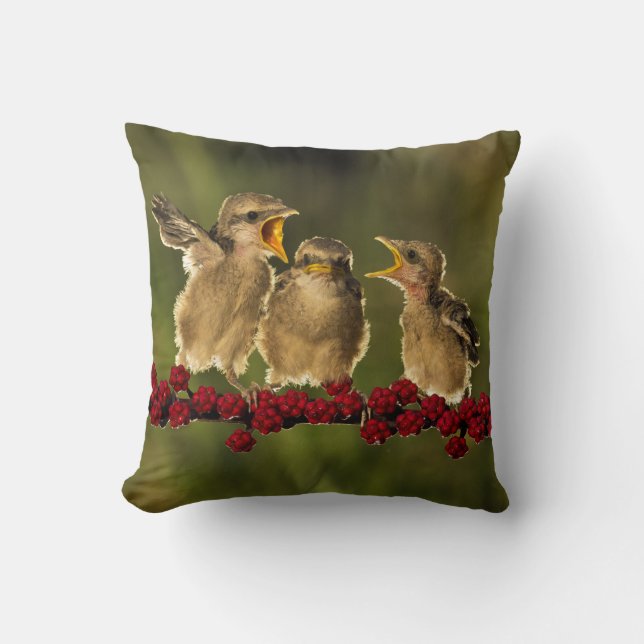 Three Baby Lanius Schach Birds Throw Pillow (Front)