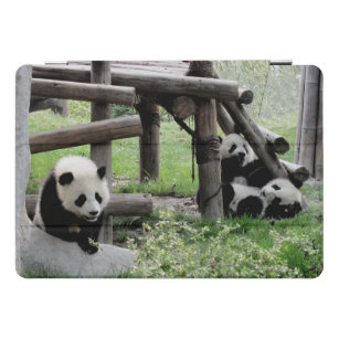 Three Baby Pandas iPad Pro Cover